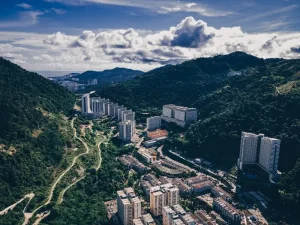 Escape the Heat: Best Things to Do in Cameron Highlands