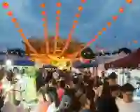 Festivals & Events
