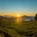 Cameron Highlands Nightlife Guide: Bars, Pubs &amp; Late-Night Spots
