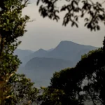 Is Taman Negara Worth Visiting? Exploring Malaysia’s Wild Heart