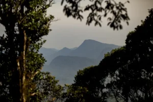 Is Taman Negara Worth Visiting? Exploring Malaysia’s Wild Heart