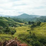 The Ultimate Cameron Highlands Travel Guide: Planning Your Perfect Trip