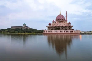 Trekking in Taman Negara: What to Expect from a Jungle Expedition