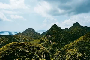 15 Essential Langkawi Day Trips &amp; Excursions for First-Time Visitors