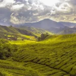 Exploring Sabah: Your Guide to Borneo’s Untamed Beauty