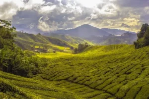 Exploring Sabah: Your Guide to Borneo’s Untamed Beauty