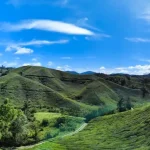 How to Get to Cameron Highlands: From Kuala Lumpur, Penang &amp; Beyond
