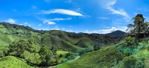 How to Get to Cameron Highlands: From Kuala Lumpur, Penang &amp; Beyond