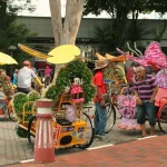 Malaysian Homestays: What to Expect from Local Generosity
