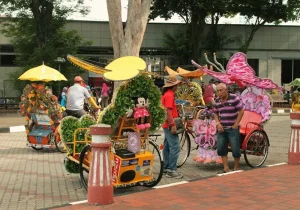 Malaysian Homestays: What to Expect from Local Generosity