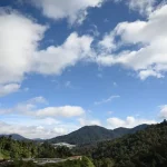 When is the Best Time to Visit Cameron Highlands, Malaysia?