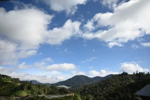 When is the Best Time to Visit Cameron Highlands, Malaysia?
