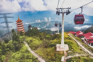 Your Ultimate 3-Day Cameron Highlands Itinerary: Tea, Trails &amp; Strawberries