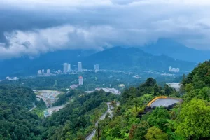 20 Unmissable Things to Do in Cameron Highlands for Every Traveler