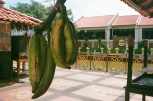 Best Restaurants in Malacca: A Culinary Journey Through History