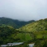 Exploring Wild Sabah: Beyond Kota Kinabalu’s Bustle and Tourist Trails