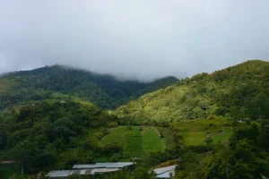 Exploring Wild Sabah: Beyond Kota Kinabalu’s Bustle and Tourist Trails