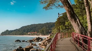 Ipoh Food Guide: Best Eats &amp; Hidden Gems You Can’t Miss in Malaysia