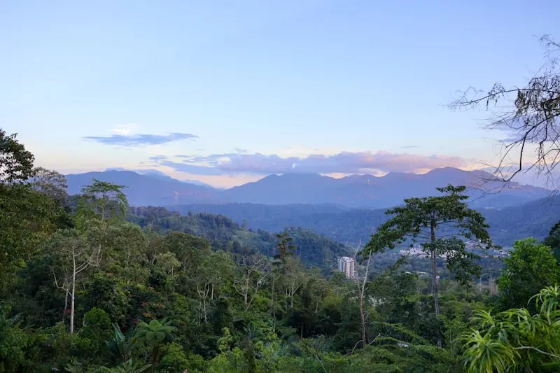 Packing for Malaysia: Essential Tips for Your July 2026 Trip