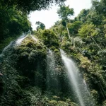 The Ultimate Guide to Malay Language Basics for Tourists