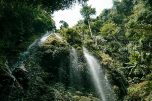 The Ultimate Guide to Malay Language Basics for Tourists