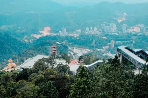 Where to Go After Dark in Cameron Highlands: Top Bars &amp; Venues