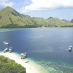Wise Card vs. Traditional Banks: Best Ways to Spend in Malaysia.