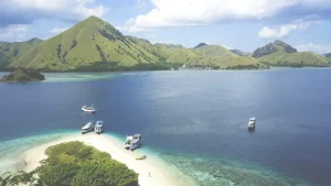 Wise Card vs. Traditional Banks: Best Ways to Spend in Malaysia.