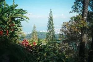 August 2026 in Malaysia: Experience the Merdeka Day Celebrations