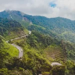 First-Timer’s Guide to Cameron Highlands: Everything You Need to Know