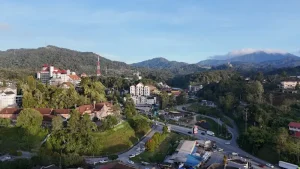Hiking the Mossy Forest Cameron Highlands: Trails, Tips &amp; What to Expect