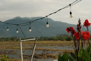 Island Hopping in Malaysia: Your August 2026 Guide to West Coast Paradises