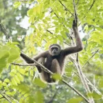 Perhentian Islands: Your Ultimate Guide to Snorkeling, Diving &amp; Island Hopping