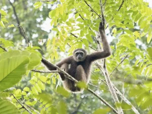 Perhentian Islands: Your Ultimate Guide to Snorkeling, Diving &amp; Island Hopping