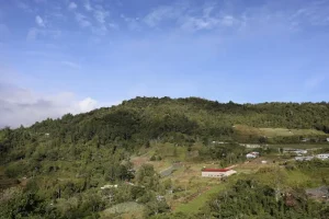 Planning Your Perhentian Islands Trip: Backpacking vs. Resort Stays