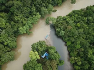 Sarawak’s Untamed Beauty: Exploring Culture, Caves &amp; Indigenous Traditions