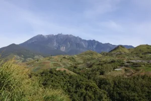 Taman Negara Jungle Trekking: An Epic Adventure in Malaysia’s Ancient Rainforest