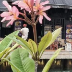 Where to Eat in Penang: Top Hawker Centers &amp; Hidden Local Restaurants