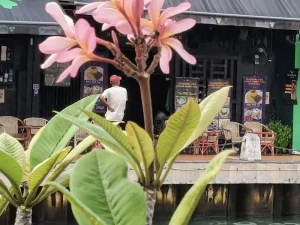 Where to Eat in Penang: Top Hawker Centers &amp; Hidden Local Restaurants