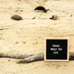 Connect with Locals: Simple Malay Phrases That Build Bridges