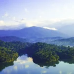Traveling to Kuala Lumpur with Kids: Fun Family Activities in KL