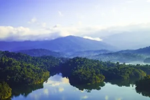 Traveling to Kuala Lumpur with Kids: Fun Family Activities in KL