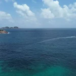 Sabah Wildlife Encounters: Orangutans, Proboscis Monkeys &amp; More (Beyond KK)