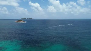 Sabah Wildlife Encounters: Orangutans, Proboscis Monkeys &amp; More (Beyond KK)