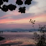 Taman Negara Jungle Trekking: An Adventurer’s Guide To Malaysia’s Oldest Rainforest