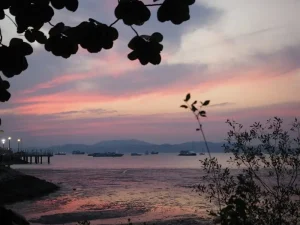 Taman Negara Jungle Trekking: An Adventurer’s Guide To Malaysia’s Oldest Rainforest